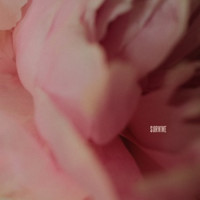 Ты поселилась у душі